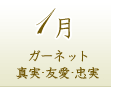 １月のパワーストーン誕生石：ガーネット